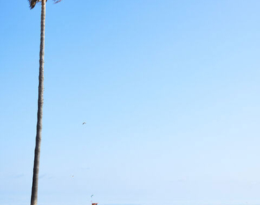 17 Sunset Avenue - Photo Thumbnail 26