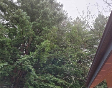 16885 Laurel Road - Photo Thumbnail 33
