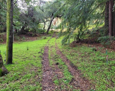 16885 Laurel Road - Photo Thumbnail 39