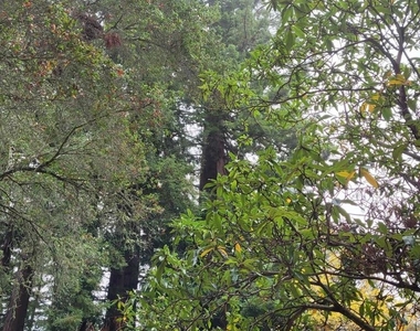 16885 Laurel Road - Photo Thumbnail 30
