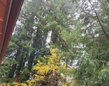 16885 Laurel Road - Photo Thumbnail 34