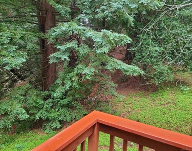 16885 Laurel Road - Photo Thumbnail 36