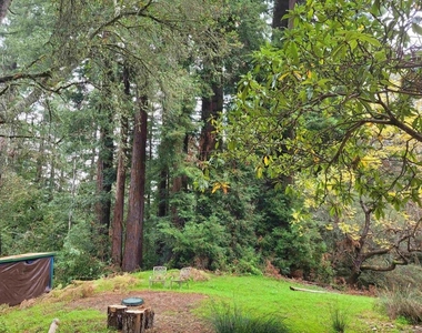 16885 Laurel Road - Photo Thumbnail 29