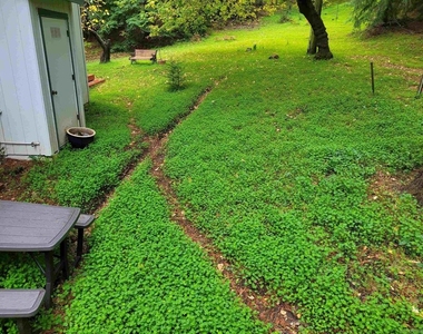 16885 Laurel Road - Photo Thumbnail 37