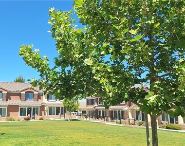 16852 Muscatel - Photo Thumbnail 5