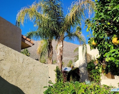 2600 S Palm Canyon Drive - Photo Thumbnail 9