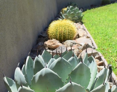 51225 Avenida Ramirez - Photo Thumbnail 29