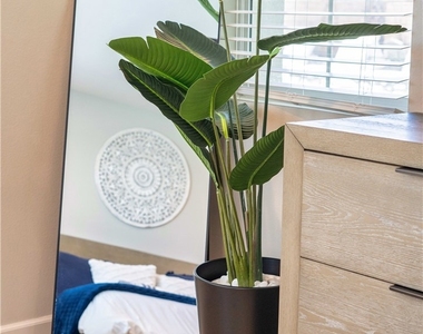58260 Aragon Way - Photo Thumbnail 28