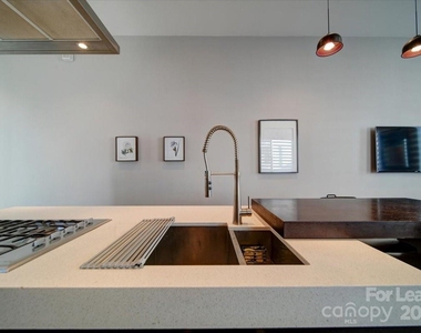 329 Viburnum Way Court - Photo Thumbnail 7