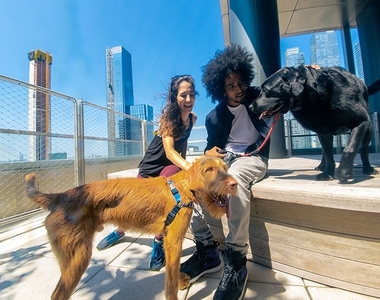 Tenth Avenue - Photo Thumbnail 13