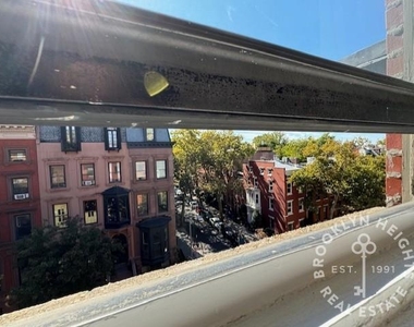 139 Joralemon Street - Photo Thumbnail 10