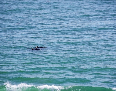 328 Boca Del Canon - Photo Thumbnail 51