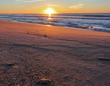 157 Dune Road - Photo Thumbnail 5