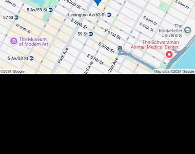 East 63 Street - Photo Thumbnail 8