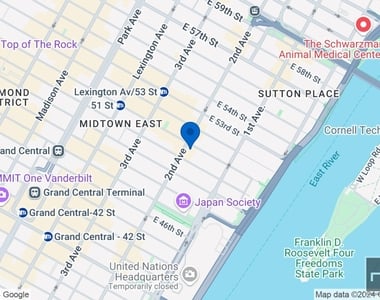 East 51st Street - Photo Thumbnail 9