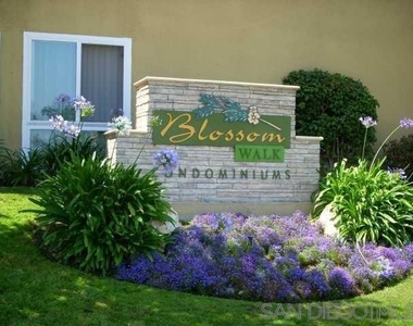 6333 Mount Ada Rd. - Photo Thumbnail 22