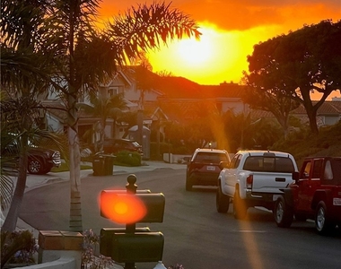 75 Palm Beach Court - Photo Thumbnail 33