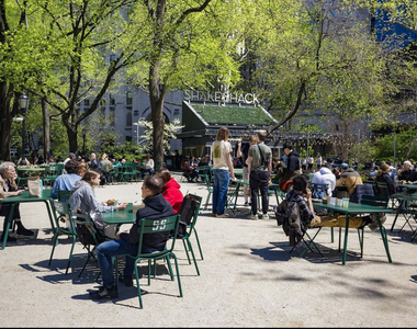 Park Avenue - Photo Thumbnail 8