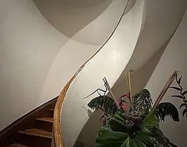 9 St Marks Place - Photo Thumbnail 2