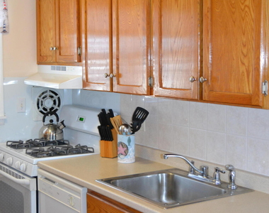 310 Maryland Avenue - Photo Thumbnail 9