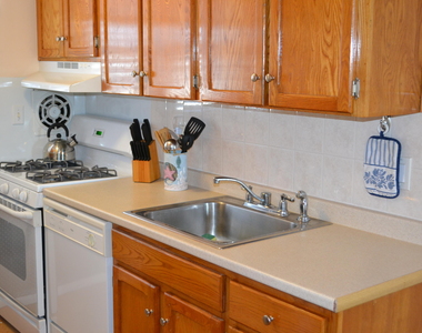 310 Maryland Avenue - Photo Thumbnail 8