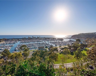 24622 El Camino Capistrano - Photo Thumbnail 6