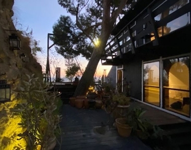 2144 Sunset Plaza Drive - Photo Thumbnail 35