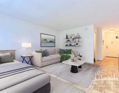 333 East 49th Street - Photo Thumbnail 4