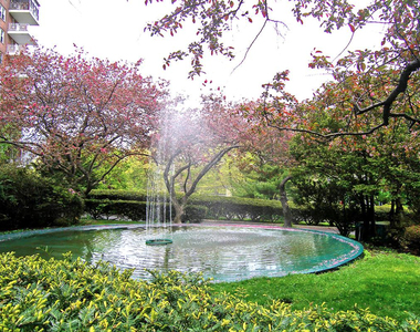 West 246th Street and Blackstone Place - Photo Thumbnail 6