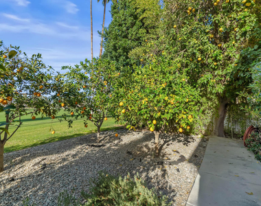 1350 E Murray Canyon Drive - Photo Thumbnail 77