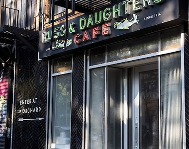 251 East 2nd Street - Photo Thumbnail 14
