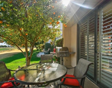 54838 Oak Tree - Photo Thumbnail 32