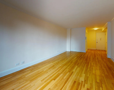 305 West 13th Street - Photo Thumbnail 3