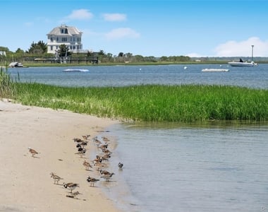 846 Dune Road - Photo Thumbnail 7