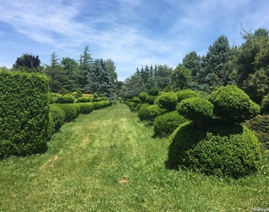 1685 Peconic Lane - Photo Thumbnail 21