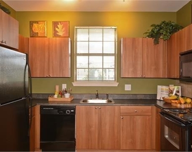 1600 Overlook Park Lane - Photo Thumbnail 3