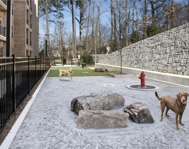 6919 Peachtree Dunwoody Road - Photo Thumbnail 32