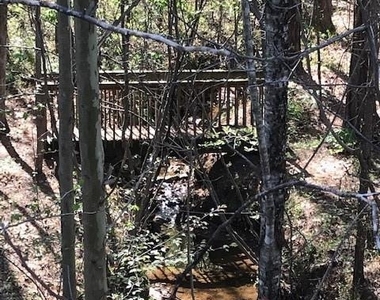 322 Hidden Creek Lane - Photo Thumbnail 41