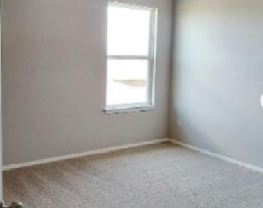 1321 Burin Dr - Photo Thumbnail 14