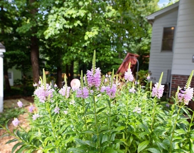303 Cary Pines Drive - Photo Thumbnail 22