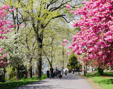 West End Avenue - Photo Thumbnail 8