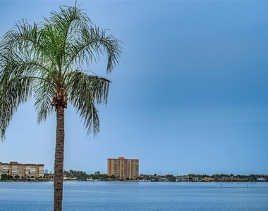 6322 Palma Del Mar Boulevard S - Photo Thumbnail 22
