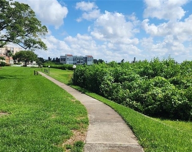 6219 Palma Del Mar Boulevard S - Photo Thumbnail 12