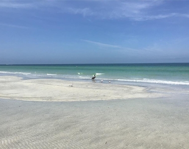 1430 Gulf Boulevard - Photo Thumbnail 37