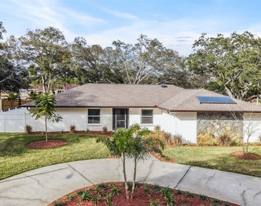 1 Fernery Lane - Photo Thumbnail 37
