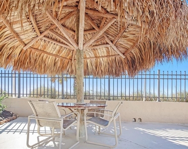 1212 Benjamin Franklin Drive - Photo Thumbnail 48