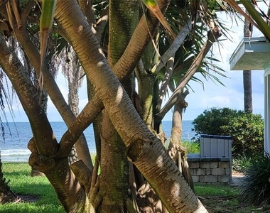 1011 Hill Street - Photo Thumbnail 3