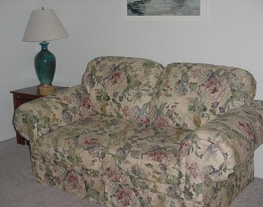 533 Circlewood Drive - Photo Thumbnail 4