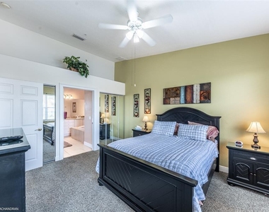 3228 Purple Martin Drive Drive - Photo Thumbnail 17