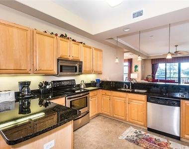 3334 Purple Martin Drive - Photo Thumbnail 13